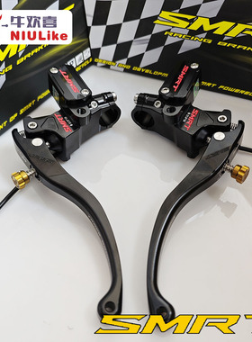 SMRT M08 直推上泵 AE4电自电摩AE5ipro 小牛NXT FXT 九号机械师2