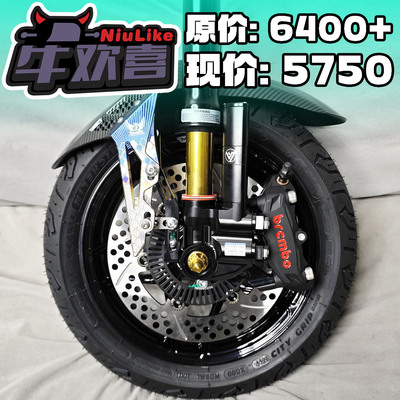 比博士GS6MAX前轮套装九号MZM5
