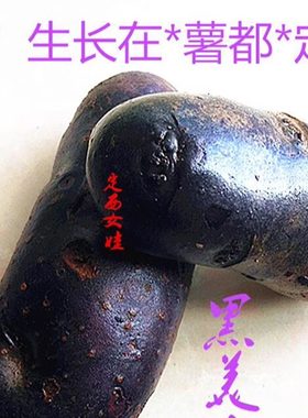 25年甘肃定西非转5斤包邮马铃薯