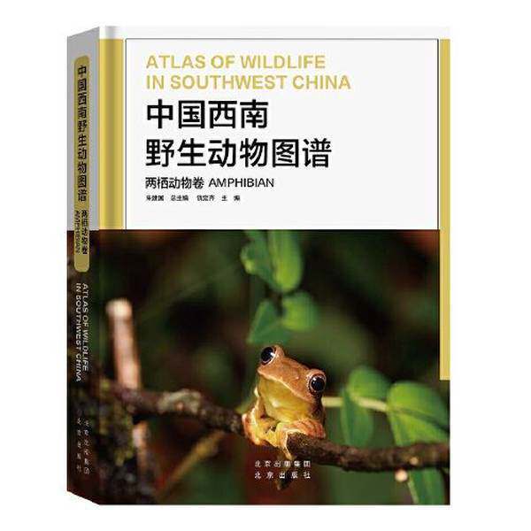 thumbnail for Authentic Book: Atlas of Wild Animals of Southwest China: Amphibians Volume, Chief Editor: Rao Dingqi; Chief Editor: Zhu Jianguo