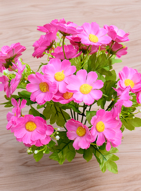 单支仿真小雏菊绿植客厅塑料花