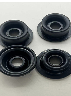 米顿罗计量泵油封GB1000/1200/1500/1800加药泵橡胶密封圈60048