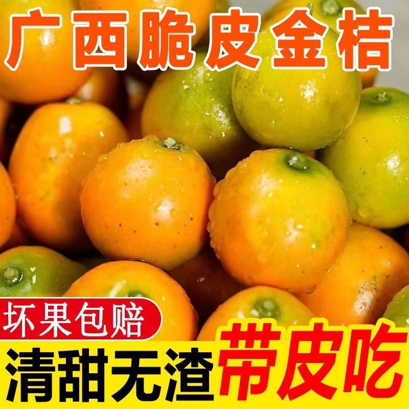 广西融安脆蜜金柑第三代应当季水果金桔鲜果金橘纯甜脆5皮金桔