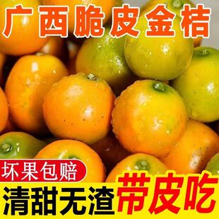 广西融安脆蜜金柑第三代应当季水果金桔鲜果金橘纯甜脆5皮金桔