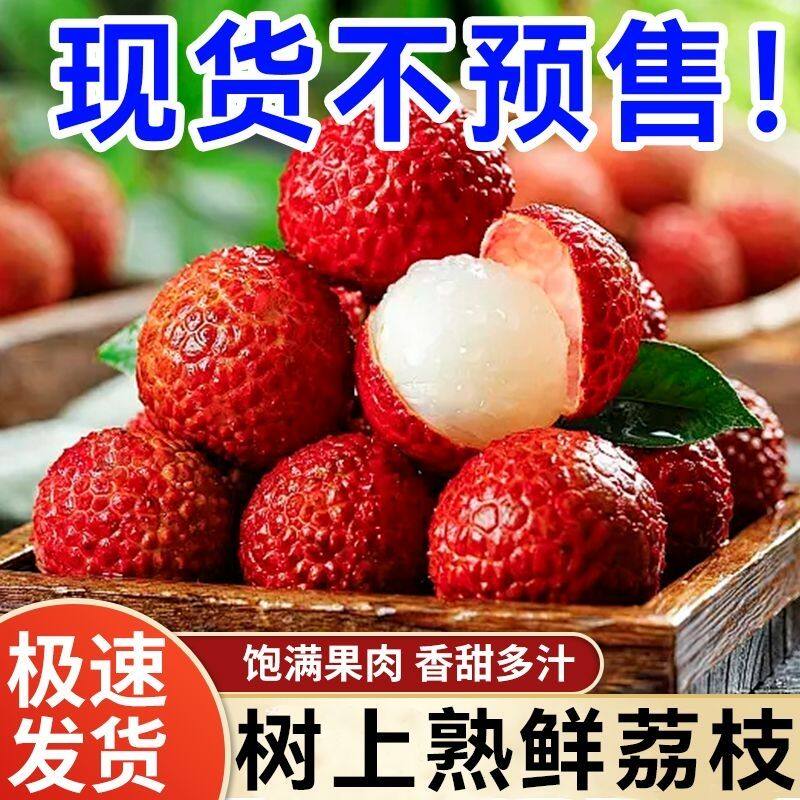 正宗广东茂名白糖罂荔枝皮薄肉嫩汁多籽小当季老叔荔枝水果自家果