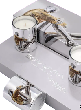 HOWstore Sorayama x 空山基联名香薰蜡烛套装家居香薰持久扩香