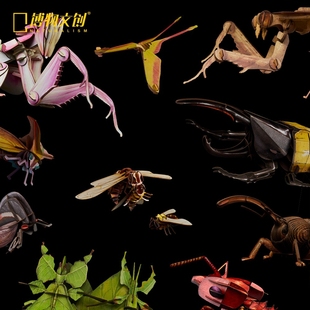 中国地理推荐博物x梦巴格首套原创STEAM TOY立体纸模精美仿真科普