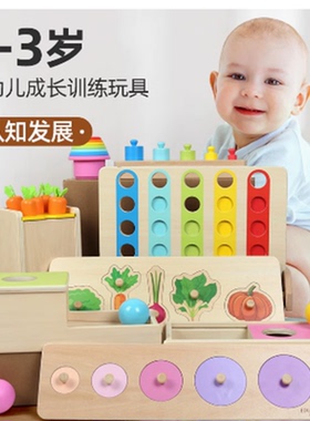 EDUcare0-3岁婴幼儿认知发展彩色插片屏风抓手拼图木制早教玩具