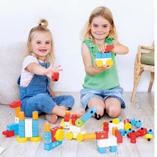 beleduc儿童百变积木102PCS 低龄宝宝创意拼插大颗粒木玩具 教具