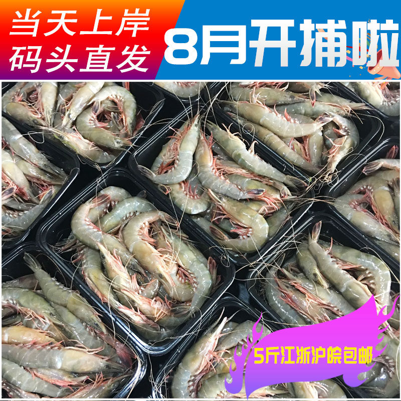 硬壳虾鲜活江苏新鲜冷冻野生金钩虾剑虾滑皮虾海虾条虾 八两装3盒
