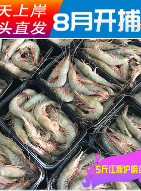 硬壳虾鲜活江苏新鲜冷冻野生金钩虾剑虾滑皮虾海虾条虾 八两装3盒
