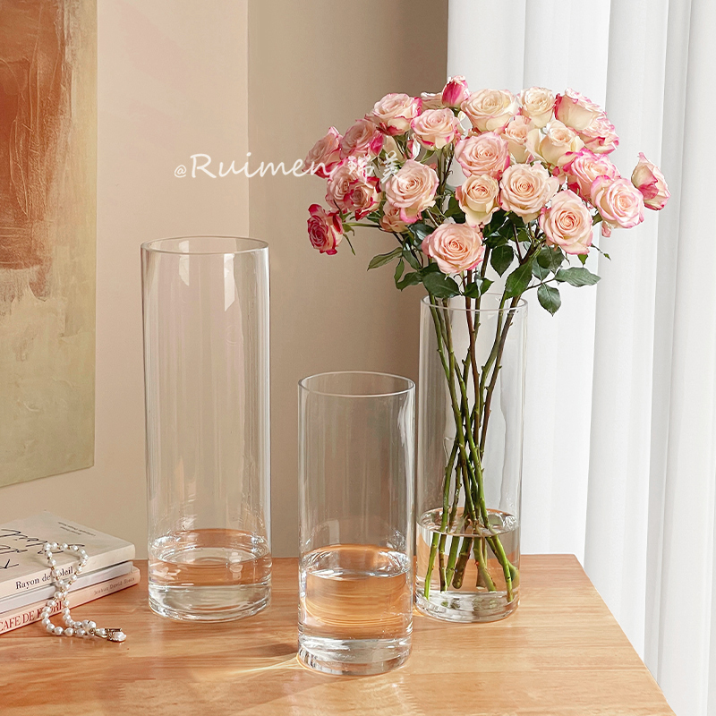 ins风轻奢玻璃花瓶透明客厅水培插花高级感现代简约餐桌装饰摆件