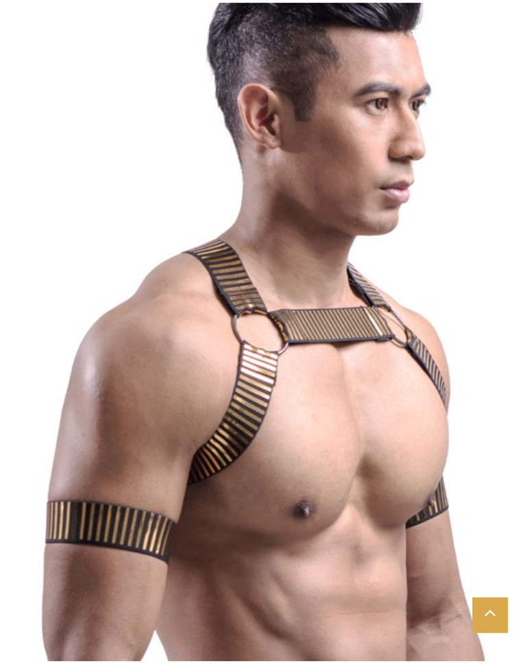 男士加厚胸带健身内衣性感塑身肌肉运动派对gay夜店舞台表演攻