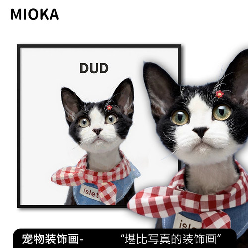 照片定制宠物装饰画挂画