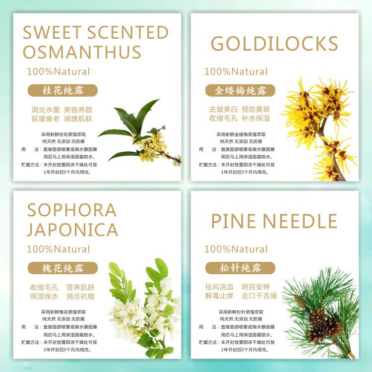 桂花纯露不干胶标签 松针精油贴纸 槐花封口贴金缕梅logo商标定制