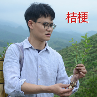 野生桔梗干新鲜采挖晒干今年新货农家自采深山中药材非种植桔梗片