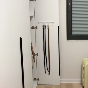 皮带收纳神器壁挂腰带挂架领带挂钩多功能衣柜领结挂帽子钩省空间