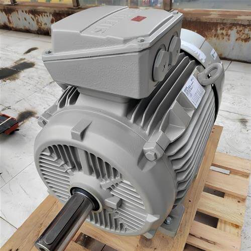议价进口产品电机1LG4183-2AA60-Z22KW2极卧式异步交流电动机配