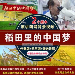 稻田里的中国梦背景视频怀念袁隆平青少年演讲朗诵舞台背景视频