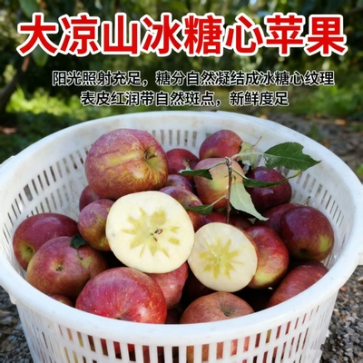 自然之甜丑得别致大凉山丑苹果