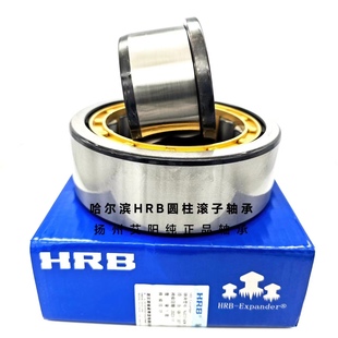 哈尔滨HRB圆柱滚子轴承 200 NJ2319EM 尺寸95 原装