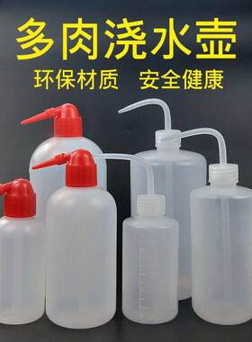 250ML弯嘴壶500ML弯嘴瓶1000ML清洗瓶溶剂瓶松香瓶多肉植物浇水壶