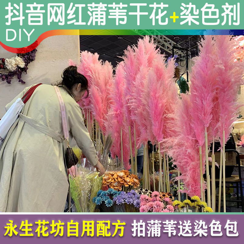 染色剂可立彩染料芦苇蒲苇染色剂