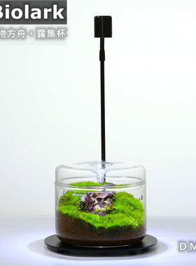 Bioloark生物方舟露集杯微景观瓶玻璃瓶苔藓瓶带灯桌面食虫植物瓶