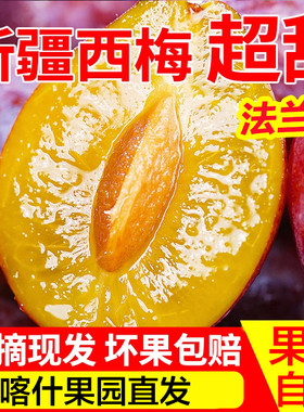 新疆法兰西西梅伽师新梅产地空运