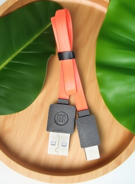 Type-c USB充电线29cm柔软面条线扁线橙色5V2A充电宝两芯线适用于JBL蓝牙音箱耳机