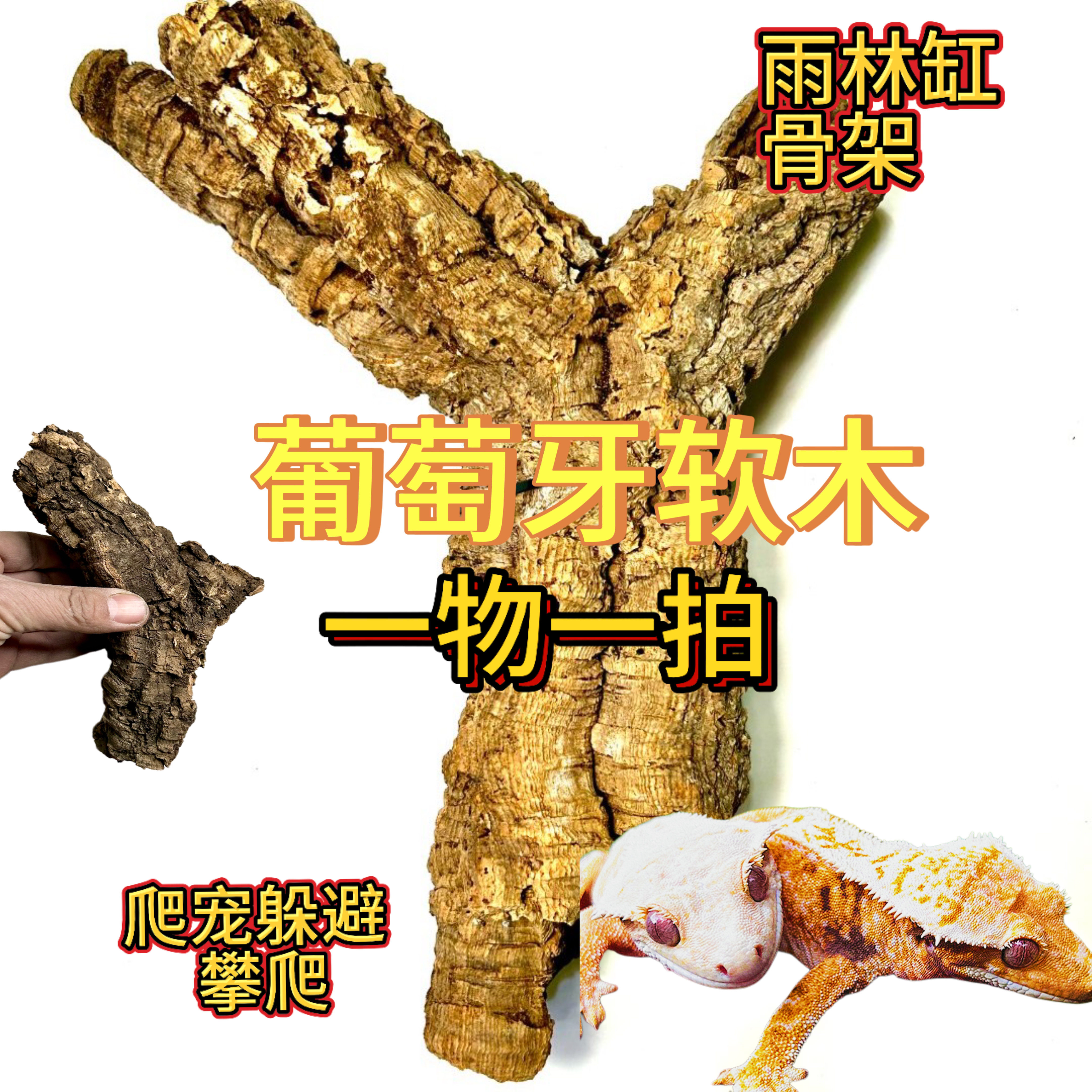 土豆哥葡萄牙软木树洞躲避攀爬图片