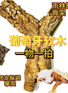 土豆哥葡萄牙软木树洞躲避攀爬