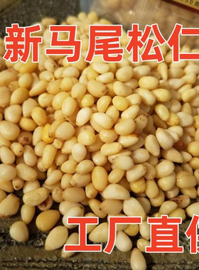 大兴安岭野生马尾松仁原味250g真空东北特产成熟干坚果晏松子原味
