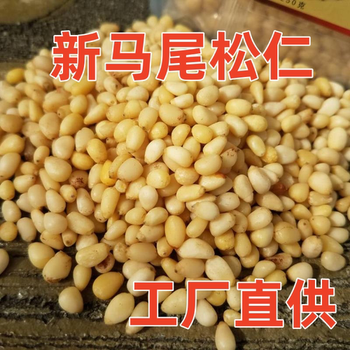 大兴安岭野生马尾松仁原味250干