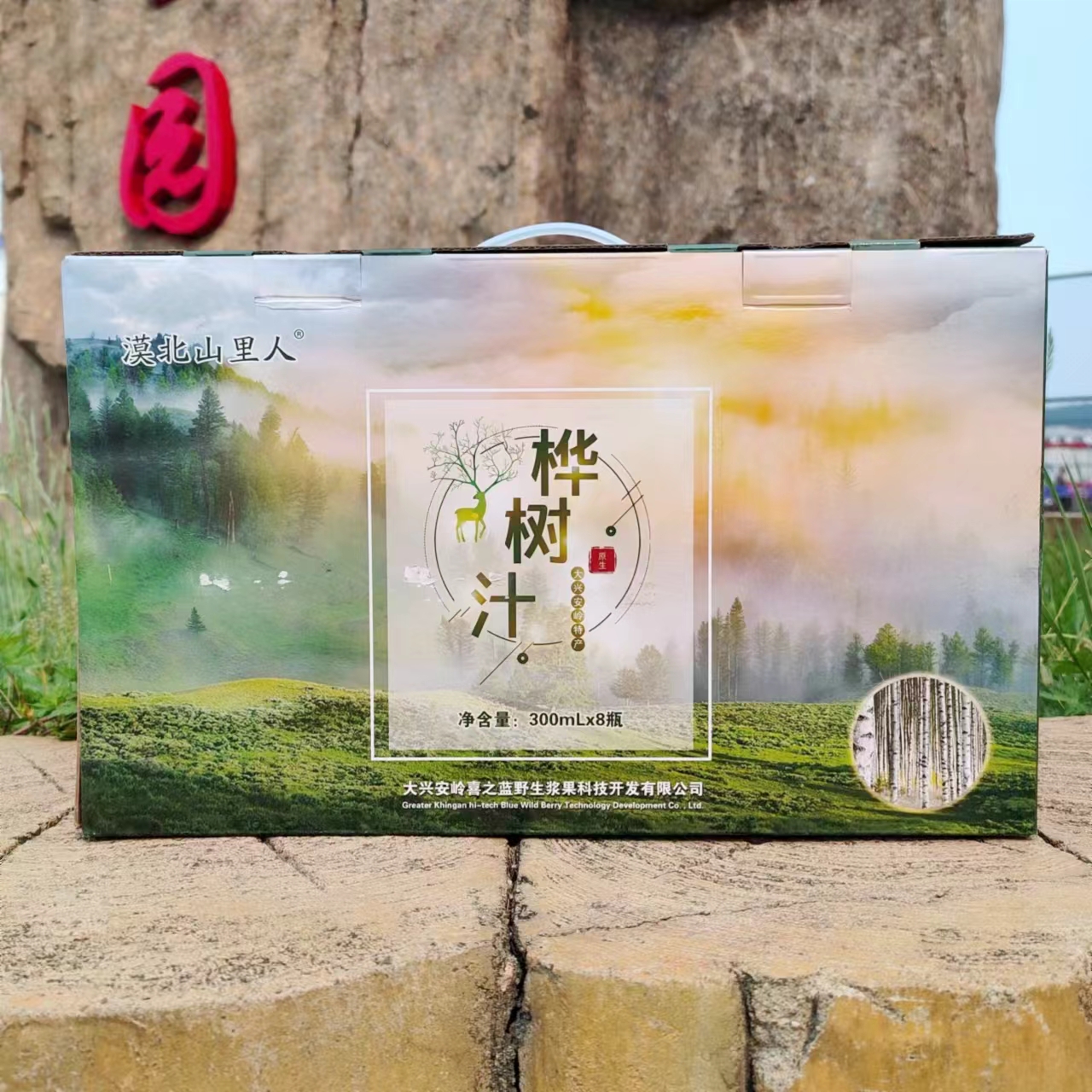 桦树汁原汁原液植物饮料新货配料