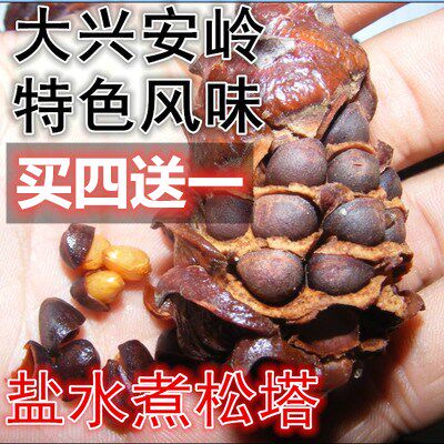 大兴安岭野生整马尾松塔盐水煮