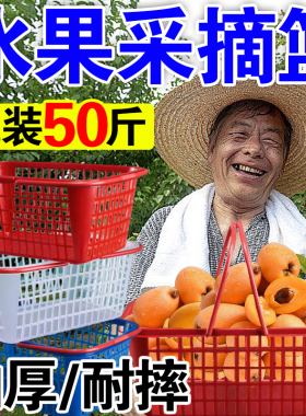 草莓篮子批发红色方形塑料水果采摘篮带盖樱桃杨梅篮1斤2斤3-12斤