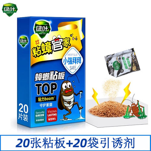 无毒GreenLeaf/绿叶蟑螂粘板