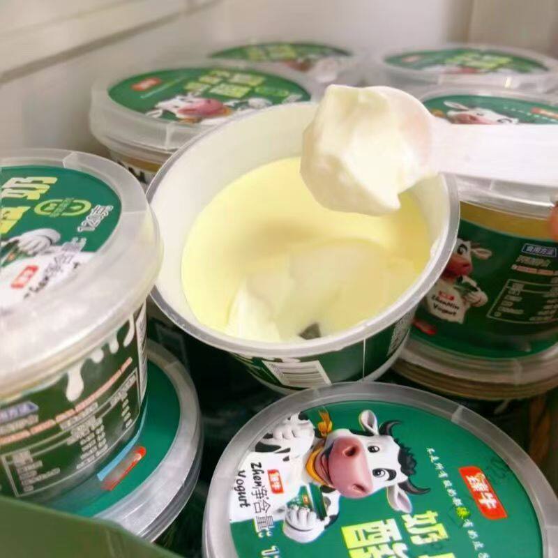 内蒙古臻牛奶皮子酸奶鲜惠德同款酸甜口感低温酸奶厂家包邮直发
