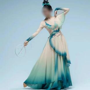 醉清波舞蹈演出服古典舞大摆裙女艺考考级练功裙杨惠竹剧目表演服