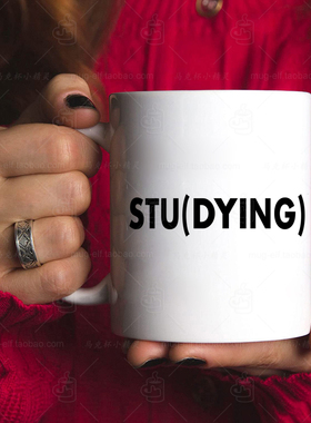 学术人研究生studying学术狗自嘲搞笑马克杯水杯陶瓷同学礼物