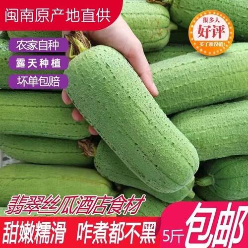 新鲜丝瓜短棒肉丝瓜台湾翡翠香丝瓜粗水瓜福建农家蔬菜1/5斤 - 封面