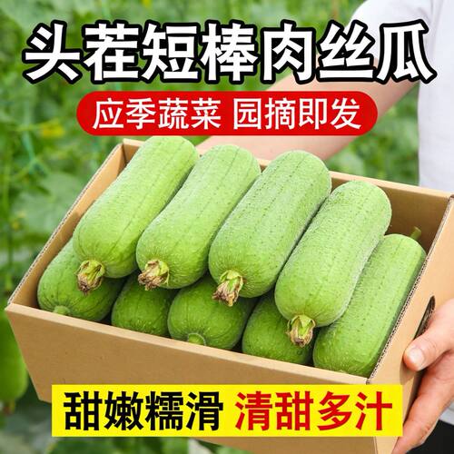 新鲜丝瓜翡翠肉丝瓜粗水瓜台湾短棒香丝瓜福建蔬菜1-5斤