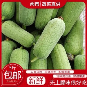 新鲜丝瓜肉丝瓜粗水瓜短棒香丝瓜农家福建蔬菜现摘1-5斤