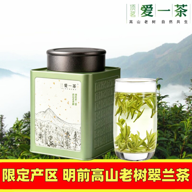 岳西翠兰明前高山老树绿茶送罐