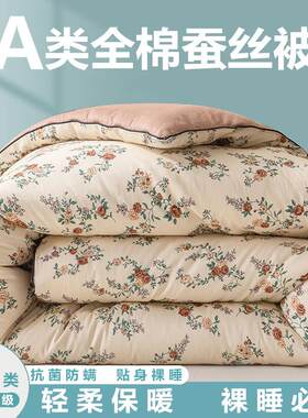 A类蚕丝棉被100%蚕丝棉被子10斤加厚保暖冬被芯春秋冬季全棉被芯