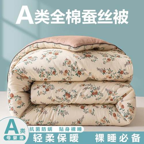 A类蚕丝棉被100%蚕丝棉被子10斤加厚保暖冬被芯春秋冬季全棉被芯