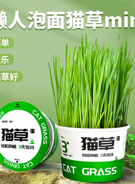 懒人泡面猫草盆栽种子猫薄荷猫咪用品大全零食轻松温和排毛化草毛