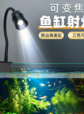 水族箱照明灯led水草灯筒灯乌龟灯南美射灯变色鱼缸灯变焦原生缸