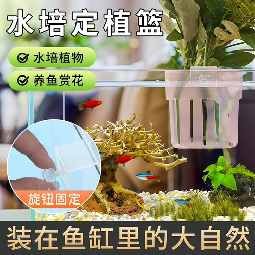 鱼缸水培植物固定架定植篮壁挂式家用水草种植杯鱼缸造景装饰花盆